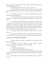 Personalo vertinimo (atestavimo) sistema: UAB "Baltika Lietuva" 6 puslapis