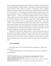 Pietų Afrikos Respublikos (PAR) ir Peru politinių sistemų palyginimas 14 puslapis