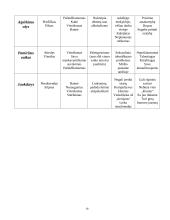 Piktnaudžiaujančių alkoholiu tėvų vaikas 16 puslapis