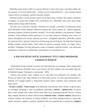 Piktnaudžiaujančių alkoholiu tėvų vaikas 6 puslapis