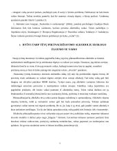 Piktnaudžiaujančių alkoholiu tėvų vaikas 7 puslapis