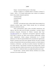 Pilietinės visuomenės bruožai 2 puslapis