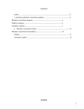 Pilietinės visuomenės kultūriniai aspektai 2 puslapis