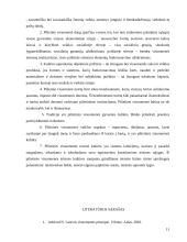 Pilietinės visuomenės kultūriniai aspektai 11 puslapis