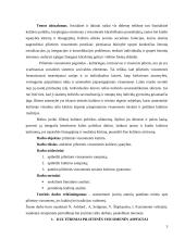 Pilietinės visuomenės kultūriniai aspektai 3 puslapis