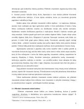 Pilietinės visuomenės kultūriniai aspektai 9 puslapis