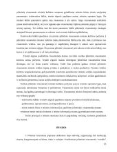 Pilietinės visuomenės kultūriniai aspektai 10 puslapis