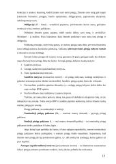 Pinigų rinka ir esmė 12 puslapis