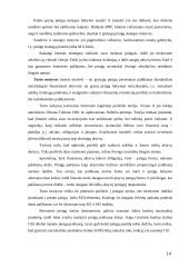 Pinigų rinka ir esmė 13 puslapis