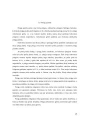 Pinigų rinka ir esmė 14 puslapis