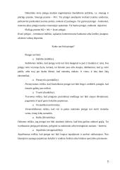 Pinigų rinka ir esmė 4 puslapis