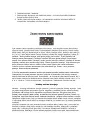 Pinigai, kreditiniai pinigai 4 puslapis