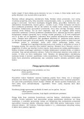 Pinigai, kreditiniai pinigai 7 puslapis