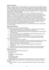 Pinigai ir bankai. Bankininkystės raida 3 puslapis