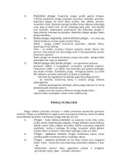 Pinigai, jų kilmė ir funkcijos 4 puslapis