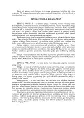 Pinigai, jų kilmė ir funkcijos 8 puslapis