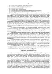 Piniginiai atsiskaitymai 2 puslapis