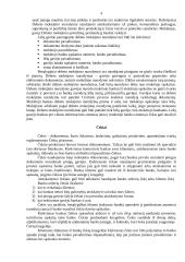 Piniginiai atsiskaitymai 4 puslapis