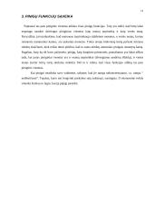 Pinigų funkcijos 11 puslapis