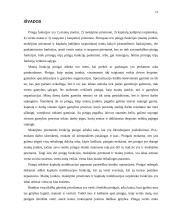 Pinigų funkcijos 12 puslapis