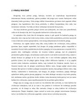 Pinigų funkcijos 10 puslapis