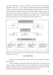 Pinigų galia ir infliacija 20 puslapis