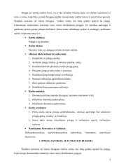 Pinigų galia ir infliacija 3 puslapis