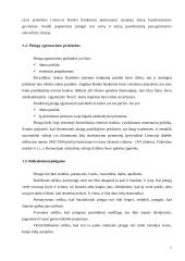 Pinigų galia ir infliacija 7 puslapis