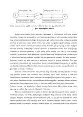 Pinigų galia ir infliacija 9 puslapis