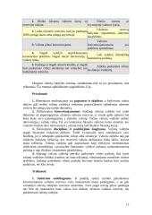 Pinigų pasiūlos reguliavimas 11 puslapis