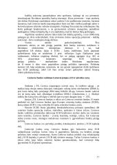 Pinigų pasiūlos reguliavimas 16 puslapis