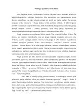 Pinigų plovimas bei pinigų plovimo operacijos 13 puslapis