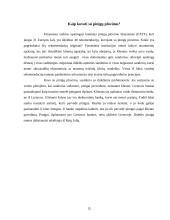 Pinigų plovimas bei pinigų plovimo operacijos 15 puslapis