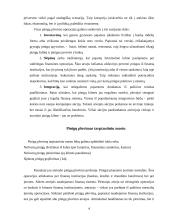 Pinigų plovimas bei pinigų plovimo operacijos 4 puslapis