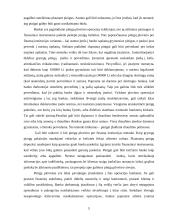 Pinigų plovimas bei pinigų plovimo operacijos 5 puslapis