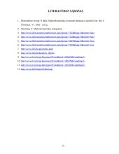 Pinigų politika 15 puslapis