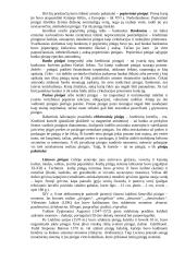 Pinigu politika Lietuvoje ir ekonominio mąstymo ugdymas 4 puslapis