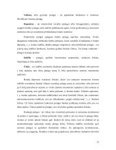 Pinigų raida Lietuvoje 13 puslapis