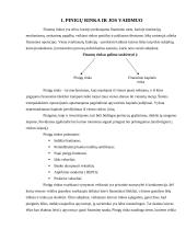 Susipažinimas su pinigų rinka 2 puslapis