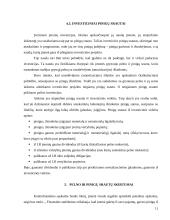 Pinigų srautų esmė 11 puslapis