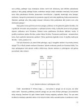 Pinigų srautų esmė 12 puslapis