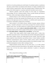 Pinigų srautų esmė 13 puslapis