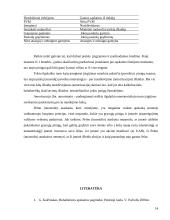 Pinigų srautų esmė 14 puslapis