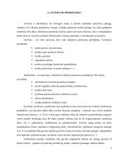 Pinigų srautų esmė 4 puslapis