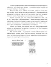 Pinigų srautų esmė 5 puslapis