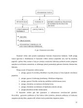 Pinigų srautų esmė 10 puslapis