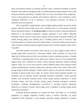 Pinigų srautų tarptautinė reglamentacija 8 puslapis