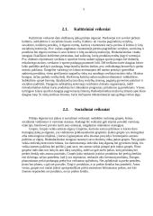 Pirkėjo elgsena 4 puslapis