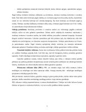 Pirkimų logistika 4 puslapis