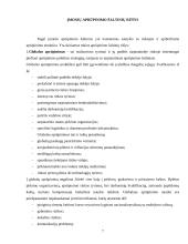 Pirkimų logistika 6 puslapis